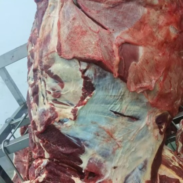牛排国产满肉牛排鲜的提前预定