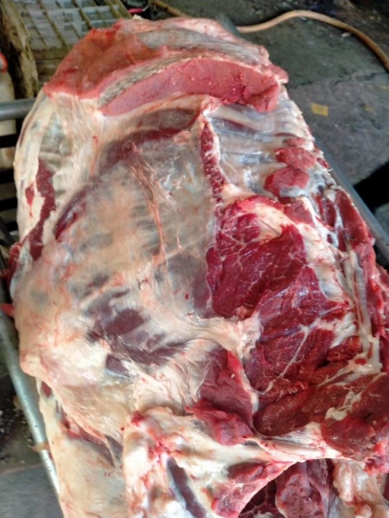 牛排国产满肉牛排鲜的提前预定