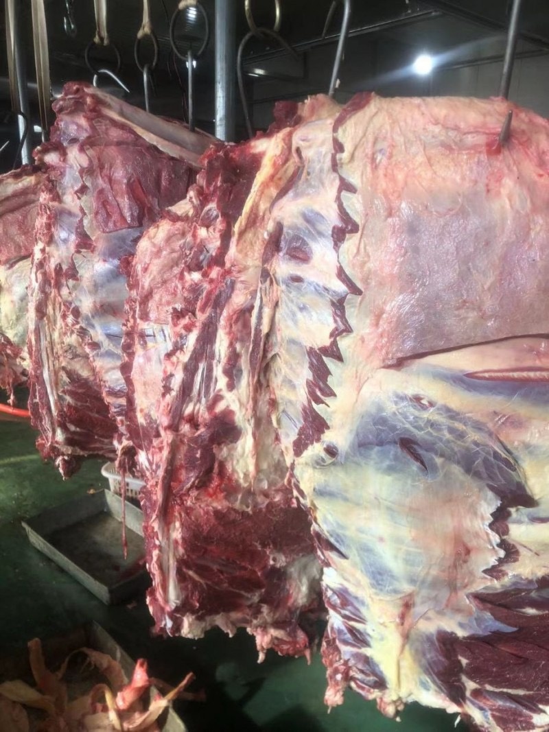 牛排国产满肉牛排鲜的提前预定