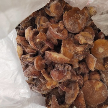 野生蘑菇冻货松蘑一斤装盒通货