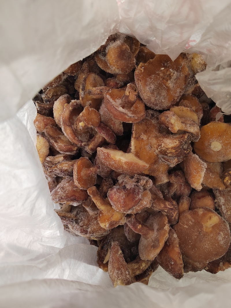 野生蘑菇冻货松蘑一斤装盒通货