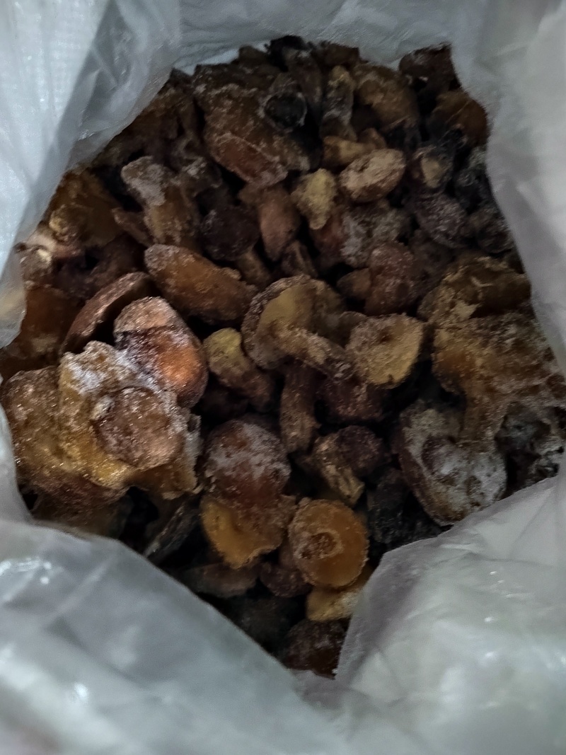 野生蘑菇冻货松蘑一斤装盒通货