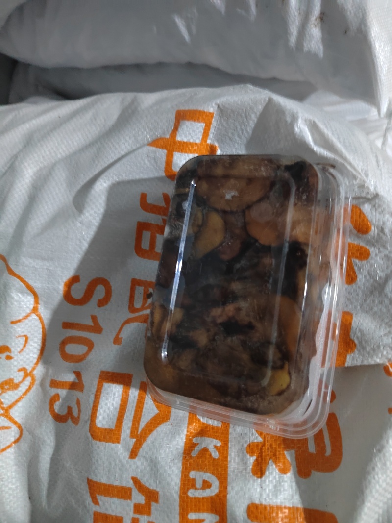 野生蘑菇冻货松蘑一斤装盒通货