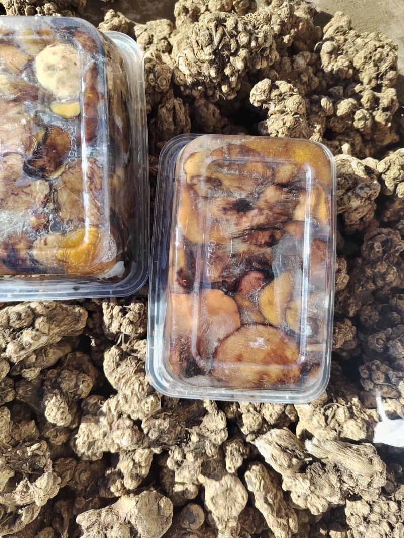 野生蘑菇冻货松蘑一斤装盒通货