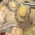 鲍鱼鲍鱼肉活冻鲍鱼速鲍鱼肉自家鲍鱼养殖基地直接发货