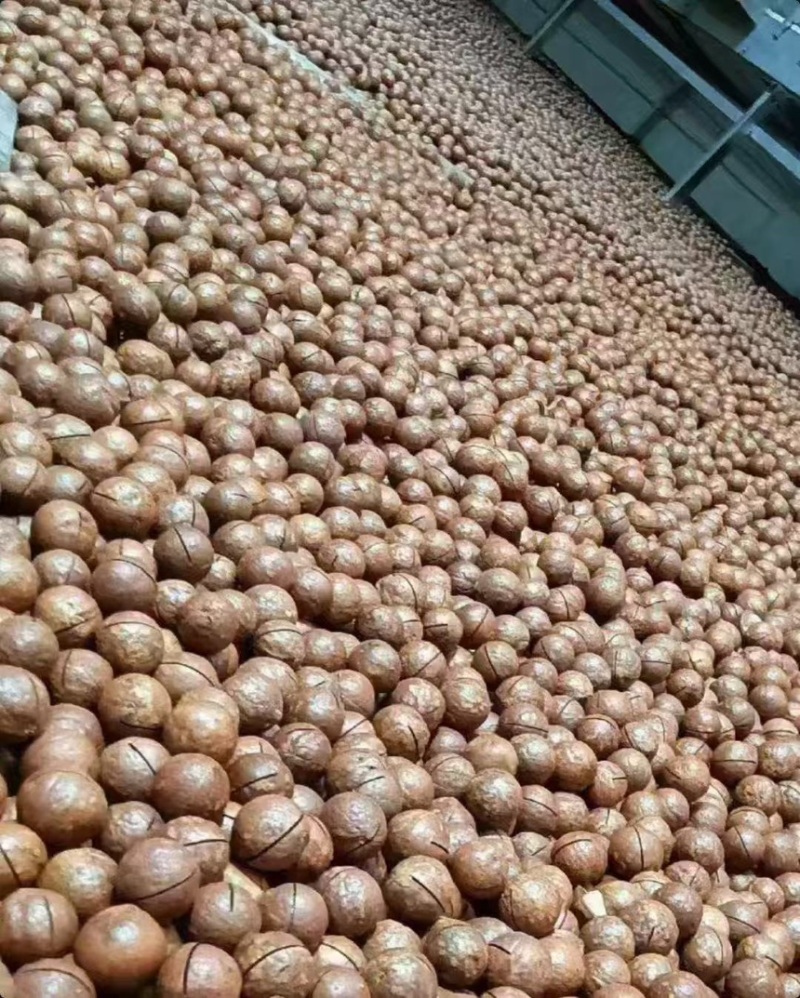 批发大果夏威夷果休闲零食散装坚果炒货一件批发量大优惠
