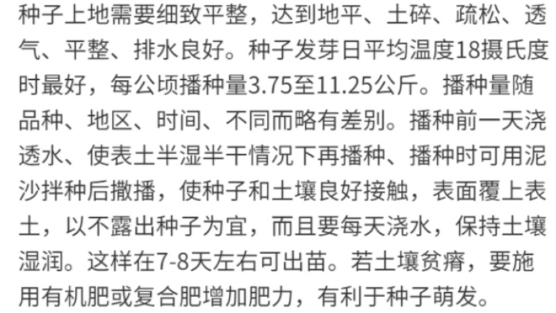 披碱草厂家货源批发价格全国发货价格便宜欢迎下单咨询