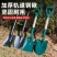 加厚铁锹铁锨农用锰钢家用种菜种花工具铁铲园艺铲子户外挖土