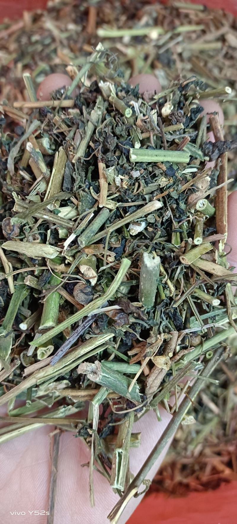 龙葵各种中药，冷背药，名贵药材实体加平台让您享受最大优势
