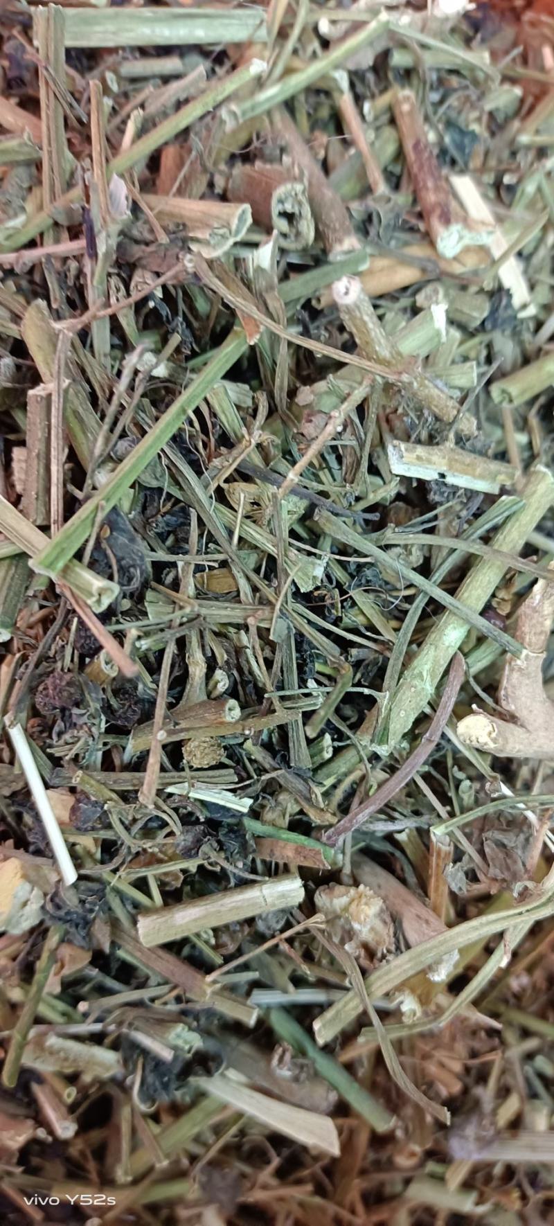 龙葵各种中药，冷背药，名贵药材实体加平台让您享受最大优势