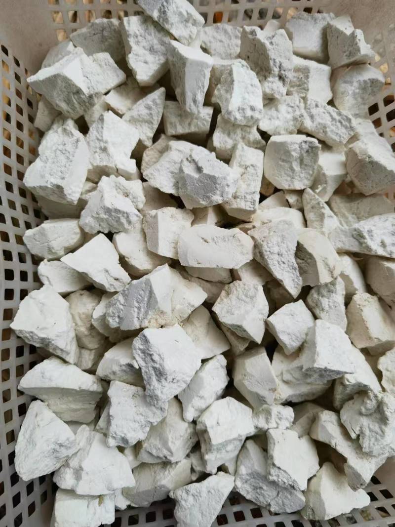 云南白茯苓坨茯苓块批发多规格欢迎老板洽谈