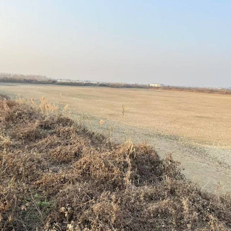 蔡甸鱼塘出租承包转让