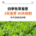 大叶菊苣猪牛鱼鸡鸭鹅兔子爱吃养殖四季牧草多年生农家牧草