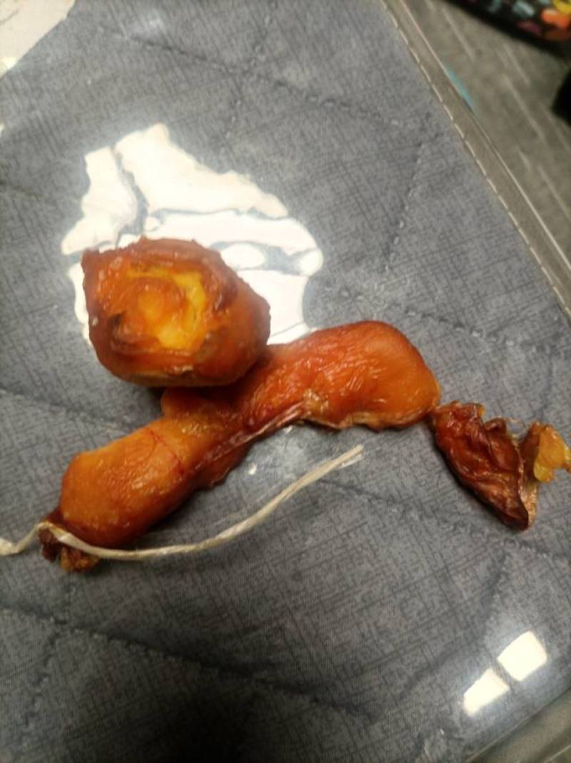 新鲜鸡宝，望谟县产，品质保证