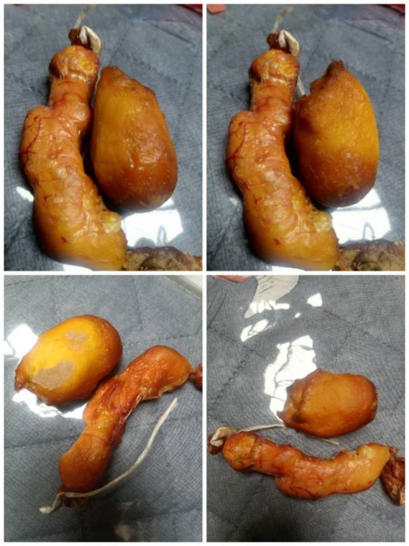 新鲜鸡宝，望谟县产，品质保证