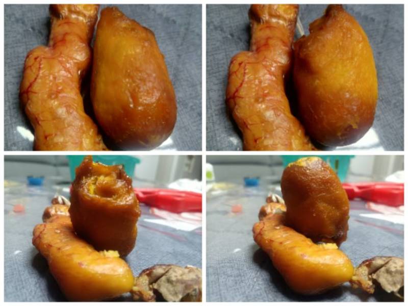 新鲜鸡宝，望谟县产，品质保证