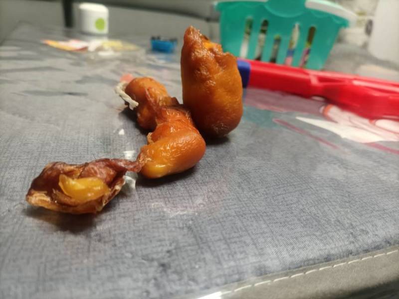 新鲜鸡宝，望谟县产，品质保证