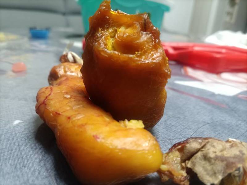 新鲜鸡宝，望谟县产，品质保证