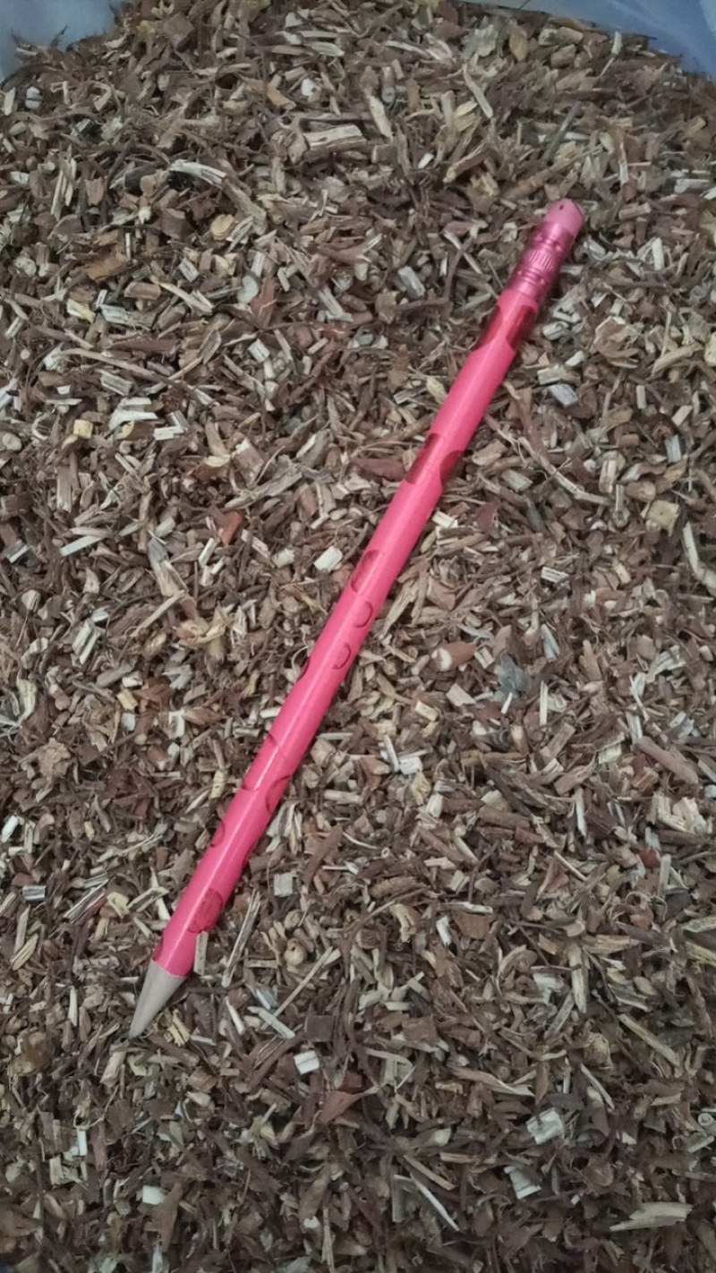 甘草沫子二料