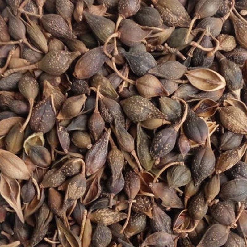 连翘中药材新货连翘茶青翘黄翘老翘