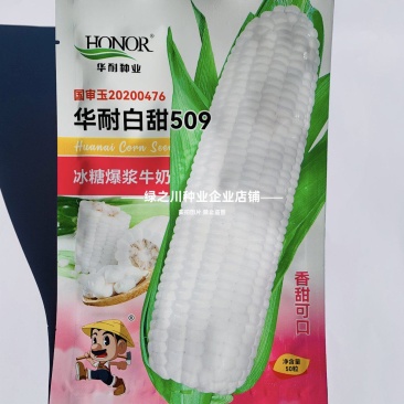 冰糖爆浆牛奶玉米种子超甜水果玉米种子皮薄无渣奶糖玉米种子
