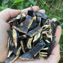 皂角皂角段皂荚大皂角皂角正宗皂角皂角断皂角