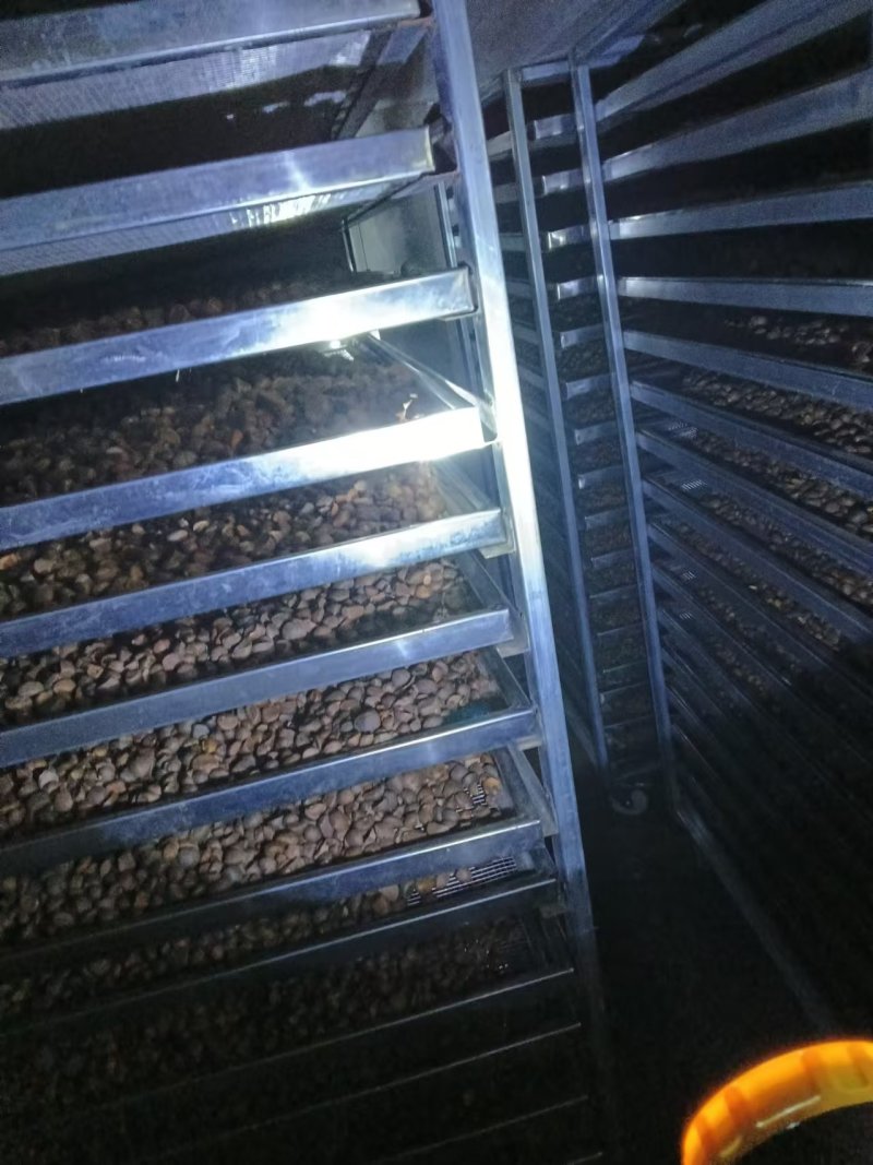 秀凯茶油，基地直供，量大质优，一手货源，欢迎电话联系。