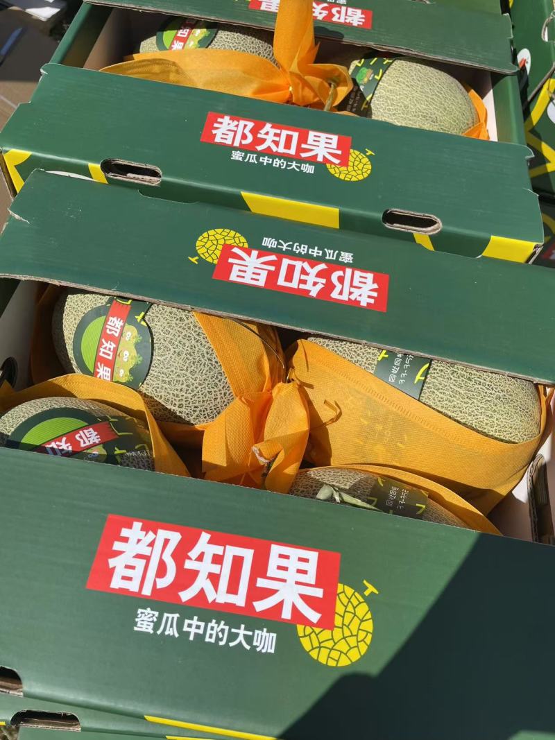 海南晓蜜25号原产地直发代发代收实力供应一条龙服务