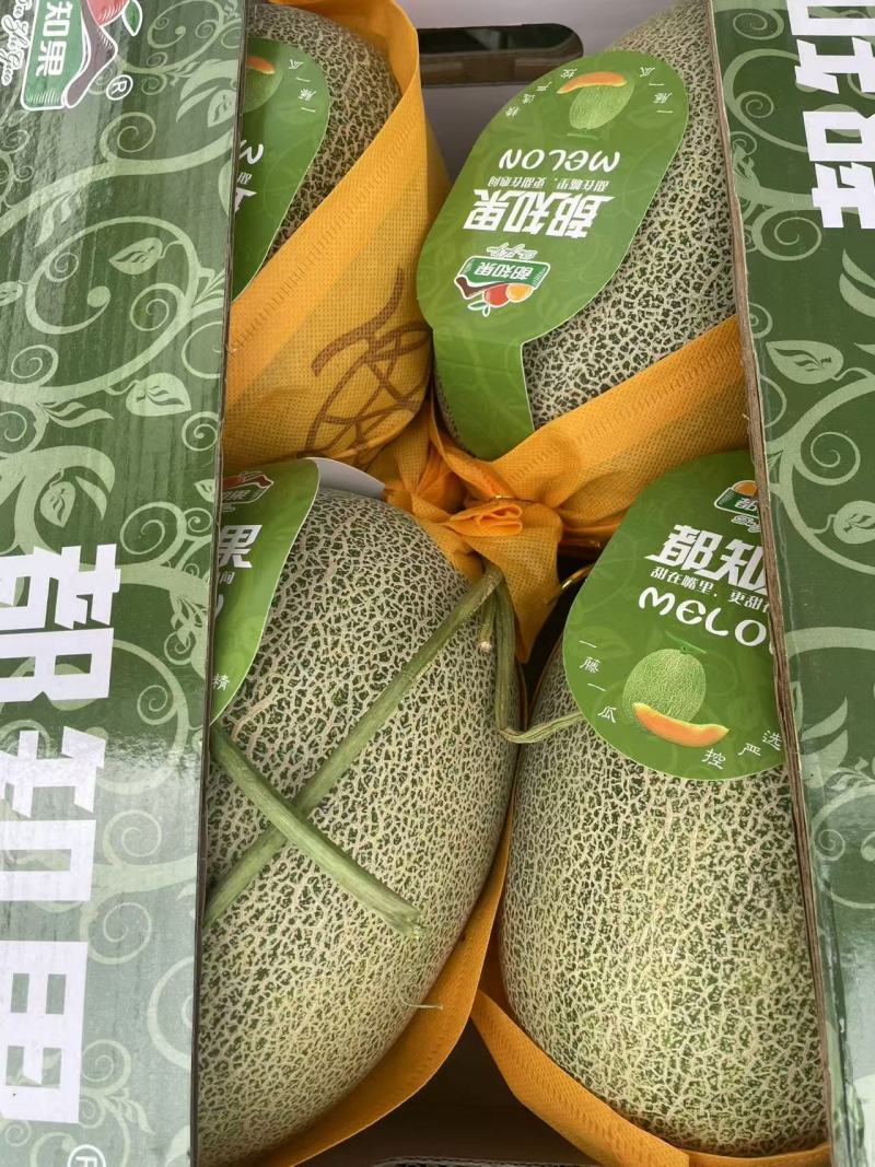 海南晓蜜25号原产地直发代发代收实力供应一条龙服务