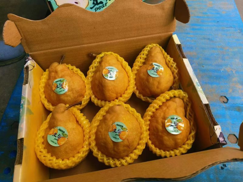 山东莱阳丑梨，皮糙肉厚汁水甜，包装精美量大从优，欢迎采购