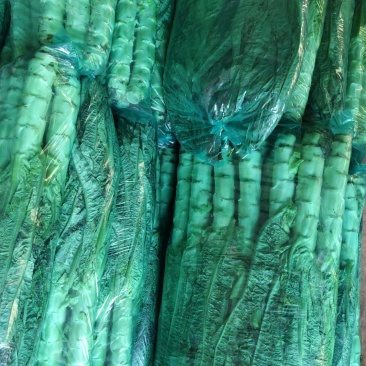 香笋大量有货产地直发价格优惠欢迎联系