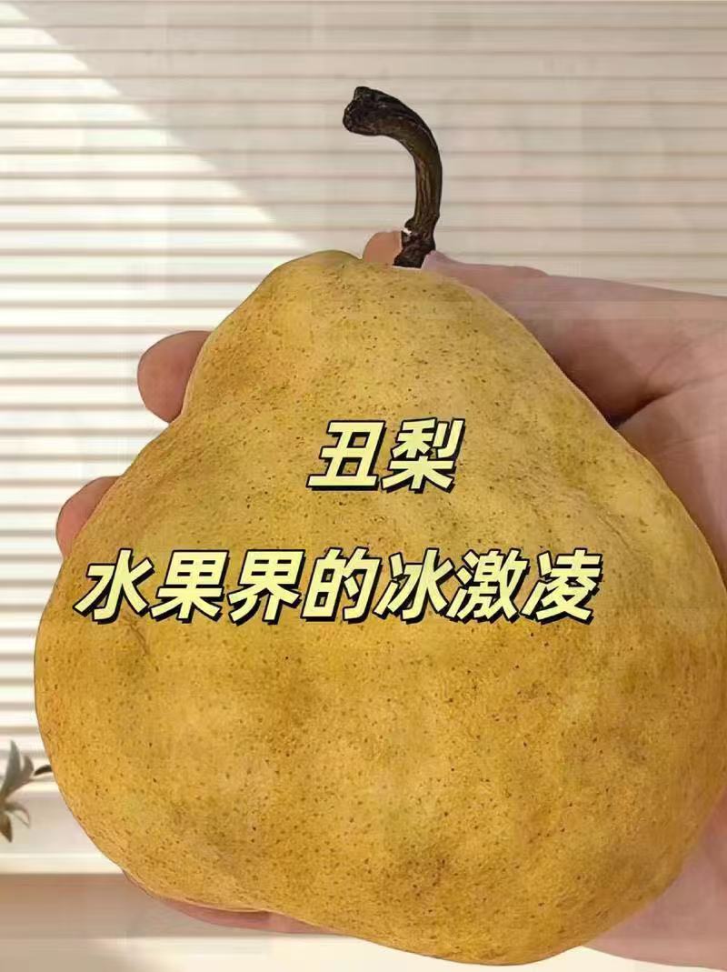 莱阳丑梨，水果界的冰激凌，被颜值耽误的神仙水果，欢迎采购