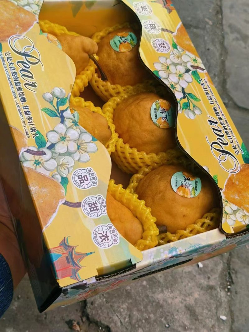 莱阳丑梨，水果界的冰激凌，被颜值耽误的神仙水果，欢迎采购