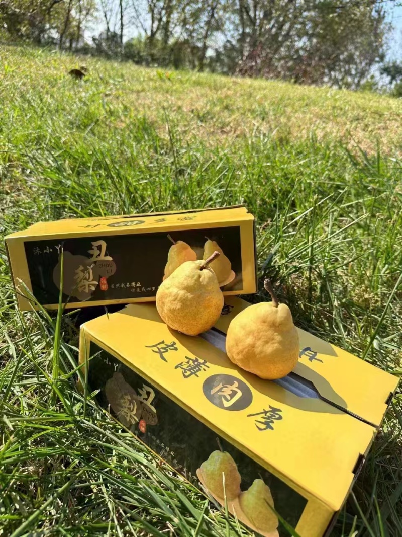 莱阳丑梨，水果界的冰激凌，被颜值耽误的神仙水果，欢迎采购