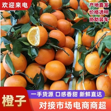 【一件代发】广西脐橙自家果园无中间商品质保障。