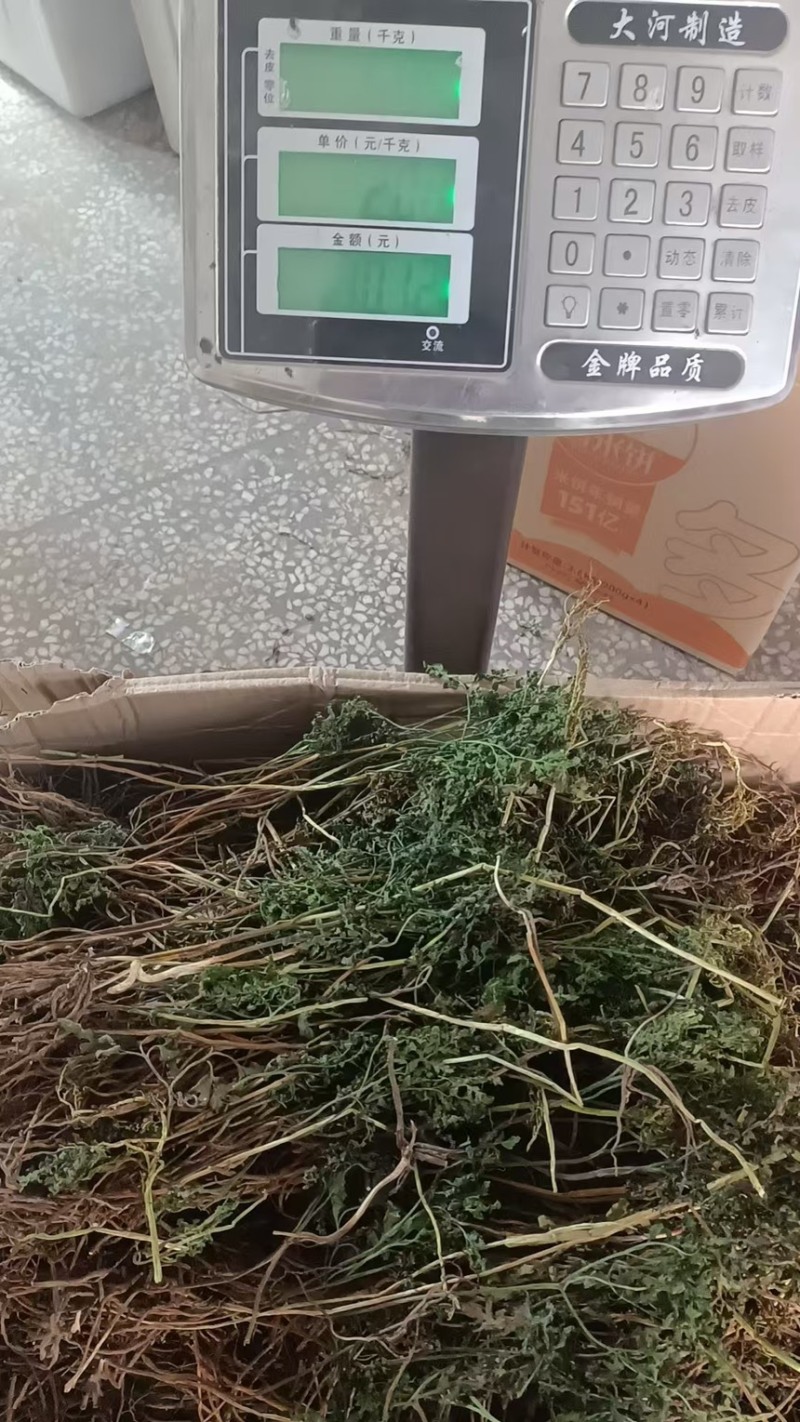 小春花