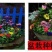 多年生野花组合耐寒花种子波斯菊百日草太阳花四季开花庭院