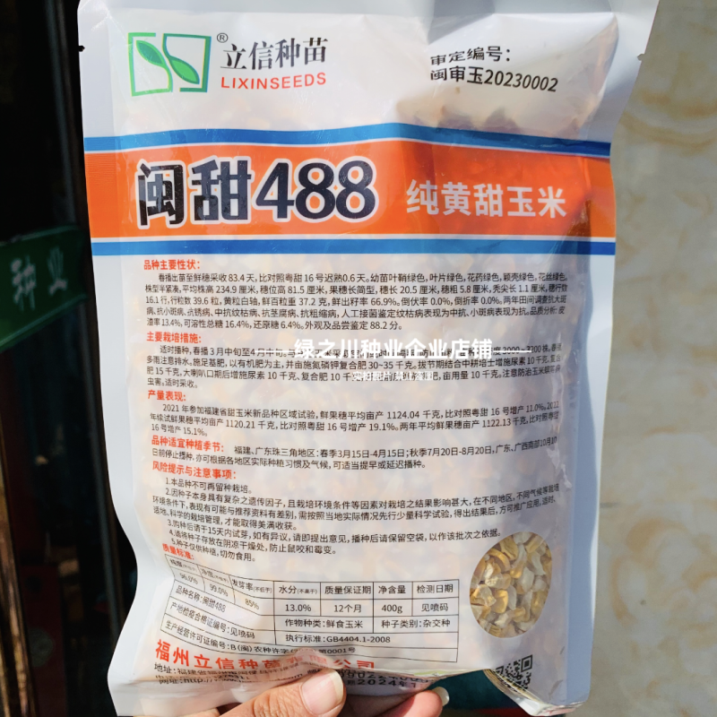 纯黄甜玉米种子超甜闽甜488水果玉米种籽高产早熟大棒特甜