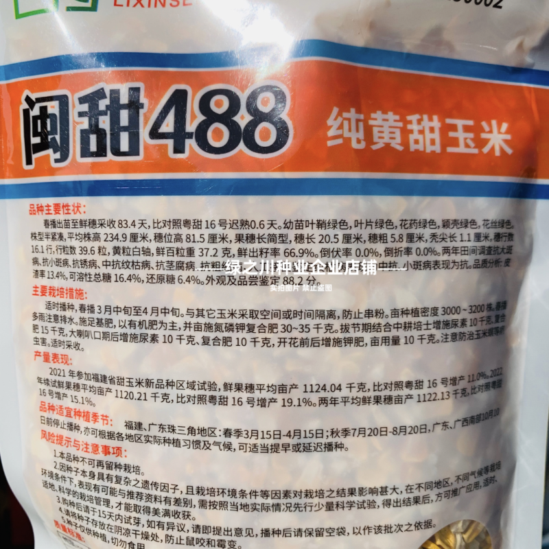 纯黄甜玉米种子超甜闽甜488水果玉米种籽高产早熟大棒特甜