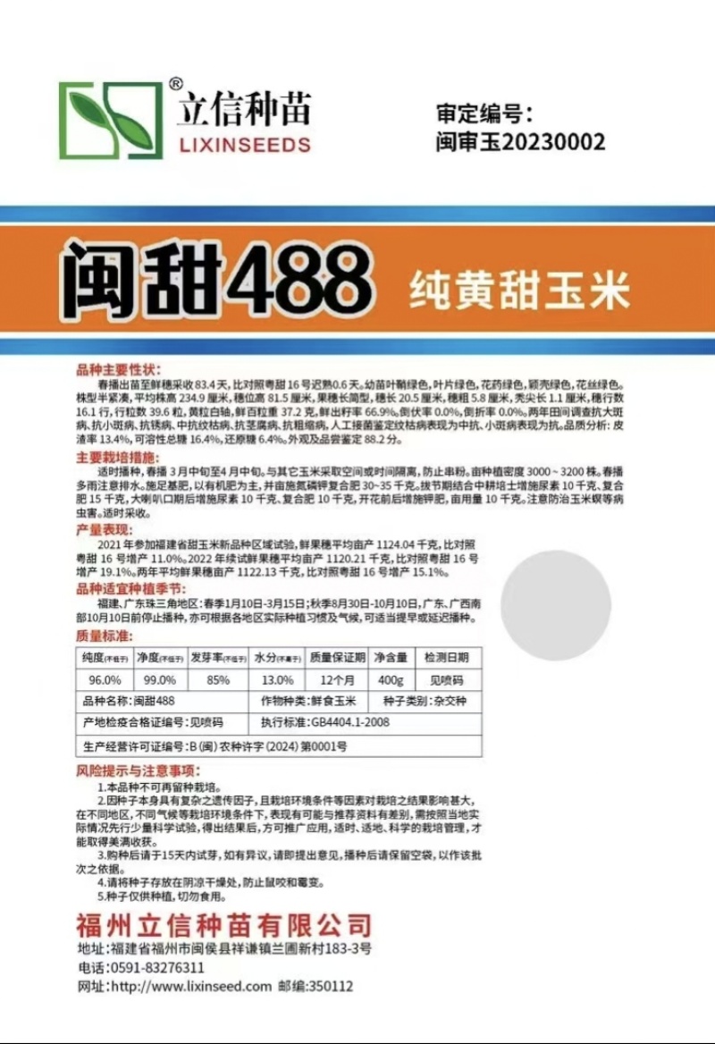 纯黄甜玉米种子超甜闽甜488水果玉米种籽高产早熟大棒特甜