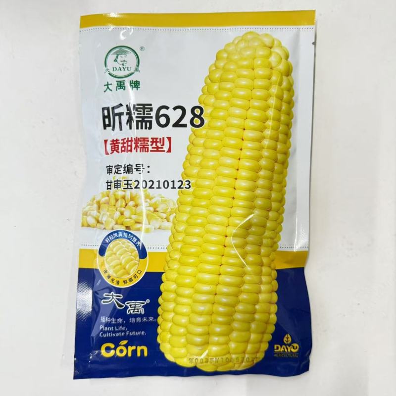昕糯628黄甜糯玉米种子甜糯黄糯特大高产玉米种籽孑香糯粘