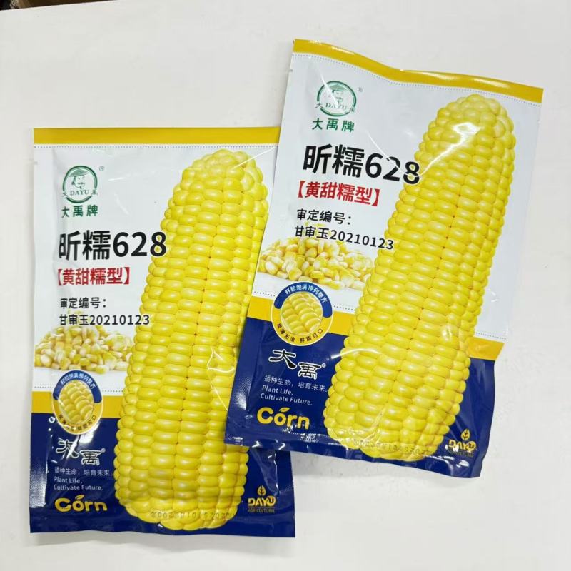 昕糯628黄甜糯玉米种子甜糯黄糯特大高产玉米种籽孑香糯粘