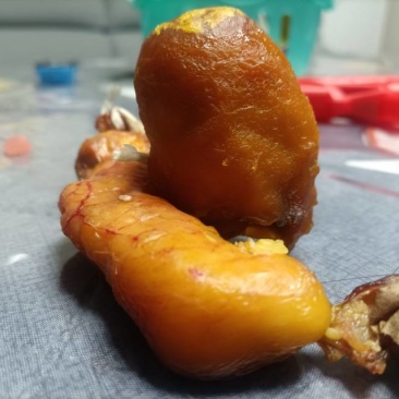 新鲜鸡宝，望谟县产，品质保证