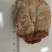 便宜处理，只有2000斤，多了也没用！