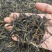 滇红茶云南产地直供品质好价格低量大优惠