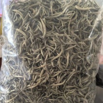 大白牙（1级）