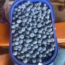 蓝莓