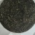 普洱茶2025年春茶茶饼
