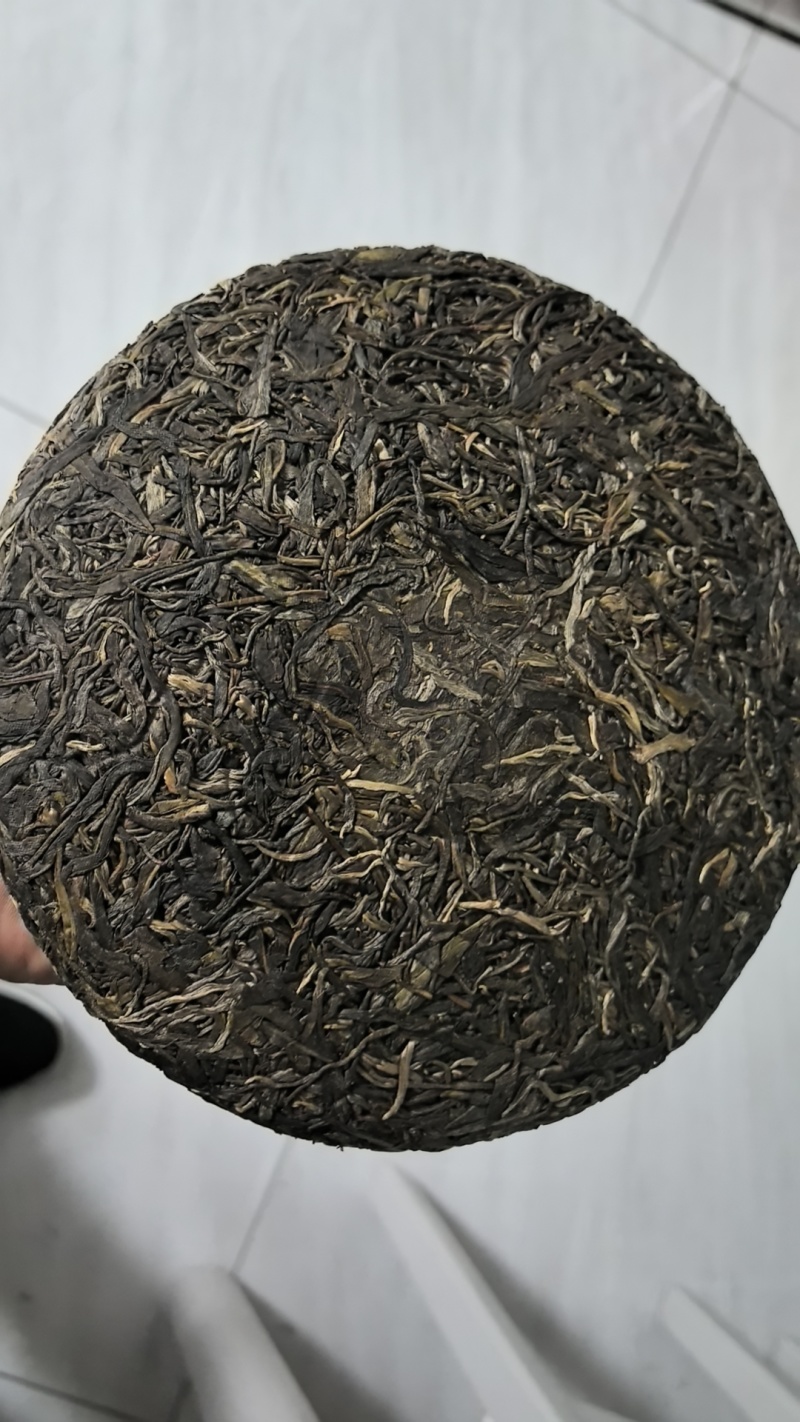 普洱茶2025年春茶茶饼