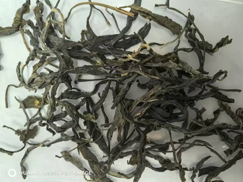 滇红：古树红茶（纯古树）